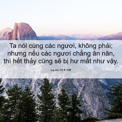 Picture 06 - Lu-ca 13:5 VIE - Ta nói cùng các ngươi, không phải; nhưng - Bible Verse Picture
