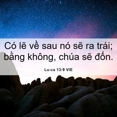 Picture 06 - Lu-ca 13:9 VIE - Có lẽ về sau nó sẽ ra trái; bằng - Bible Verse Picture