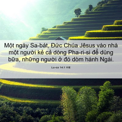 Picture 06 - Lu-ca 14:1 VIE - Một ngày Sa-bát, Đức Chúa Jêsus vào - Bible Verse Picture