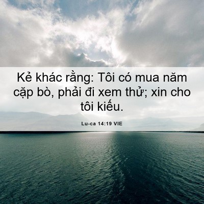Picture 06 - Lu-ca 14:19 VIE - Kẻ khác rằng: Tôi có mua năm cặp bò, - Bible Verse Picture
