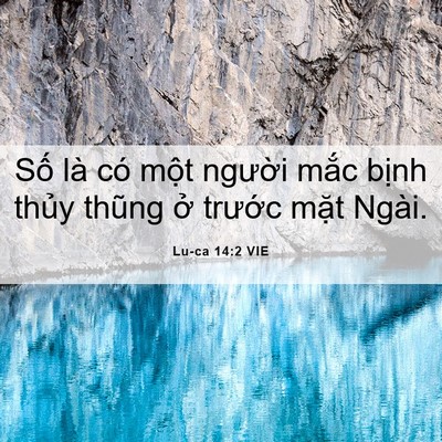 Picture 06 - Lu-ca 14:2 VIE - Số là có một người mắc bịnh thủy - Bible Verse Picture
