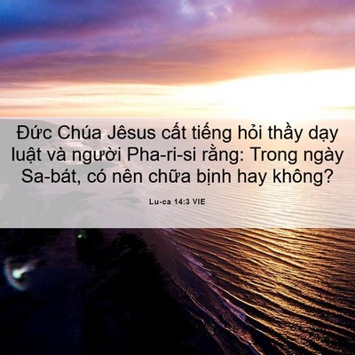 Picture 06 - Lu-ca 14:3 VIE - Đức Chúa Jêsus cất tiếng hỏi thầy - Bible Verse Picture