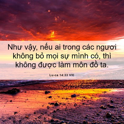 Picture 06 - Lu-ca 14:33 VIE - Như vậy, nếu ai trong các ngươi không - Bible Verse Picture