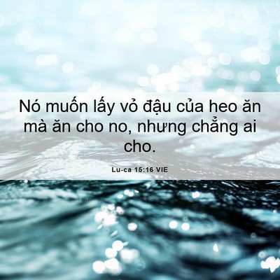 Picture 06 - Lu-ca 15:16 VIE - Nó muốn lấy vỏ đậu của heo ăn mà - Bible Verse Picture