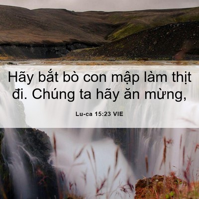 Picture 06 - Lu-ca 15:23 VIE - Hãy bắt bò con mập làm thịt đi. Chúng - Bible Verse Picture