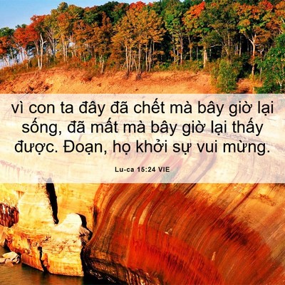 Picture 06 - Lu-ca 15:24 VIE - vì con ta đây đã chết mà bây giờ lại - Bible Verse Picture