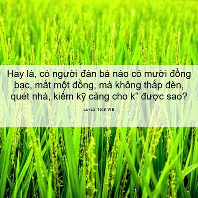 Picture 06 - Lu-ca 15:8 VIE - Hay là, có người đàn bà nào có mười - Bible Verse Picture