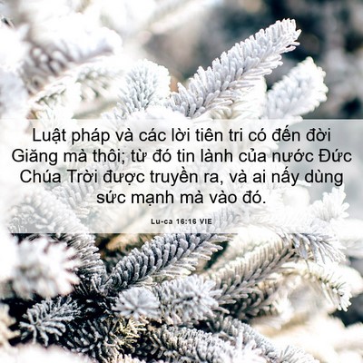 Picture 06 - Lu-ca 16:16 VIE - Luật pháp và các lời tiên tri có đến - Bible Verse Picture