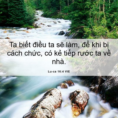 Picture 06 - Lu-ca 16:4 VIE - Ta biết điều ta sẽ làm, để khi bị - Bible Verse Picture