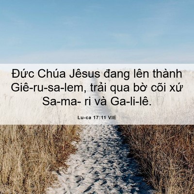 Picture 06 - Lu-ca 17:11 VIE - Đức Chúa Jêsus đang lên thành - Bible Verse Picture
