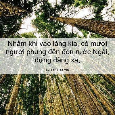 Picture 06 - Lu-ca 17:12 VIE - Nhằm khi vào làng kia, có mười người - Bible Verse Picture