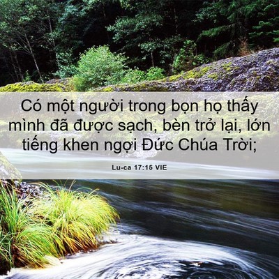 Picture 06 - Lu-ca 17:15 VIE - Có một người trong bọn họ thấy mình - Bible Verse Picture