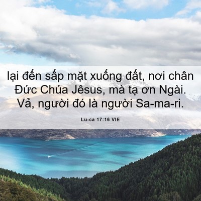 Picture 06 - Lu-ca 17:16 VIE - lại đến sấp mặt xuống đất, nơi - Bible Verse Picture