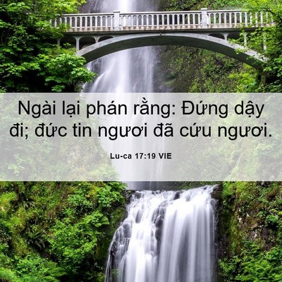 Picture 06 - Lu-ca 17:19 VIE - Ngài lại phán rằng: Đứng dậy đi; - Bible Verse Picture