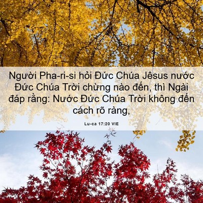 Picture 06 - Lu-ca 17:20 VIE - Người Pha-ri-si hỏi Đức Chúa Jêsus - Bible Verse Picture