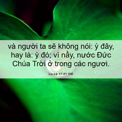 Picture 06 - Lu-ca 17:21 VIE - và người ta sẽ không nói: ỳ đây, hay - Bible Verse Picture
