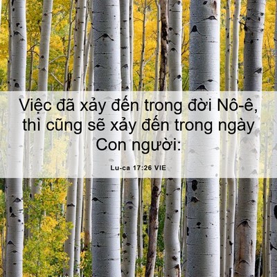 Picture 06 - Lu-ca 17:26 VIE - Việc đã xảy đến trong đời Nô-ê, - Bible Verse Picture