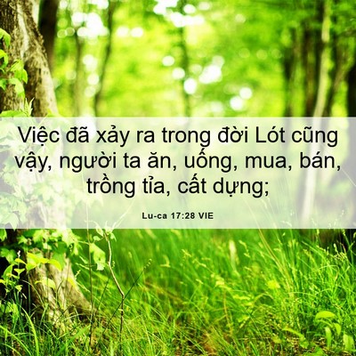 Picture 06 - Lu-ca 17:28 VIE - Việc đã xảy ra trong đời Lót cũng - Bible Verse Picture