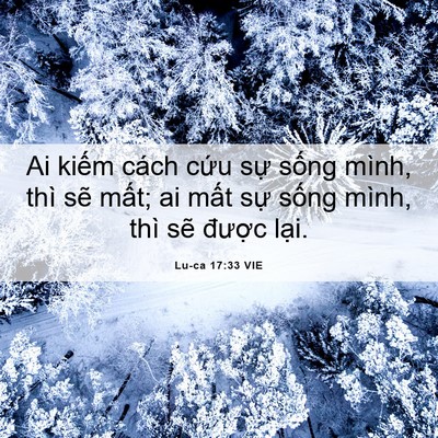 Picture 06 - Lu-ca 17:33 VIE - Ai kiếm cách cứu sự sống mình, thì - Bible Verse Picture