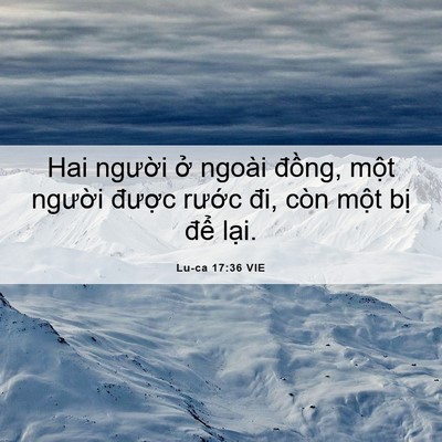 Picture 06 - Lu-ca 17:36 VIE - Hai người ở ngoài đồng, một người - Bible Verse Picture