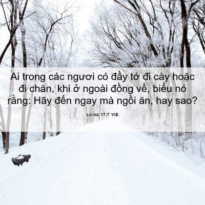 Picture 06 - Lu-ca 17:7 VIE - Ai trong các ngươi có đầy tớ đi cày - Bible Verse Picture