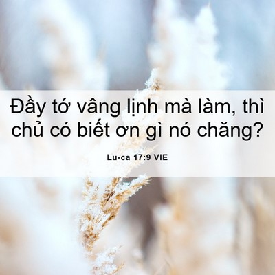 Picture 06 - Lu-ca 17:9 VIE - Đầy tớ vâng lịnh mà làm, thì chủ có - Bible Verse Picture