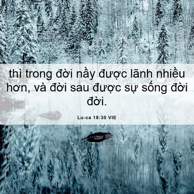 Picture 06 - Lu-ca 18:30 VIE - thì trong đời nầy được lãnh nhiều - Bible Verse Picture