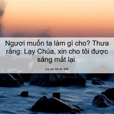 Picture 06 - Lu-ca 18:41 VIE - Ngươi muốn ta làm gì cho? Thưa rằng: - Bible Verse Picture