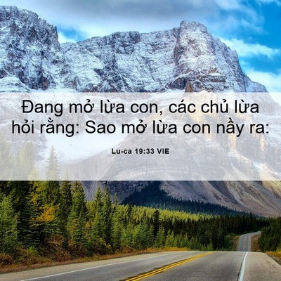 Picture 06 - Lu-ca 19:33 VIE - Đang mở lừa con, các chủ lừa hỏi - Bible Verse Picture