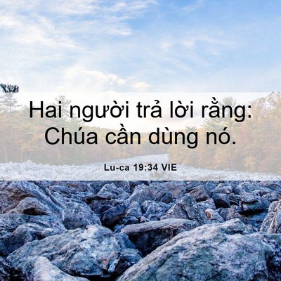 Picture 06 - Lu-ca 19:34 VIE - Hai người trả lời rằng: Chúa cần - Bible Verse Picture