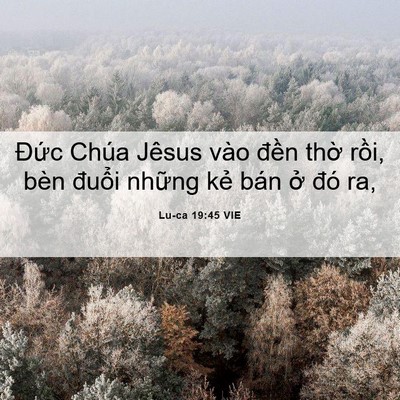 Picture 06 - Lu-ca 19:45 VIE - Đức Chúa Jêsus vào đền thờ rồi, bèn - Bible Verse Picture