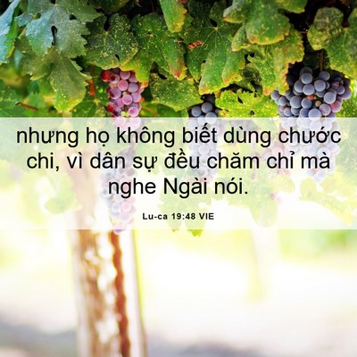 Picture 06 - Lu-ca 19:48 VIE - nhưng họ không biết dùng chước chi, vì - Bible Verse Picture