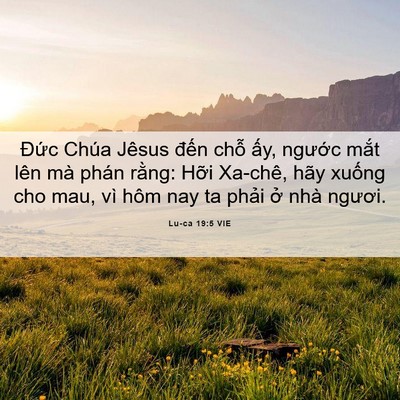 Picture 06 - Lu-ca 19:5 VIE - Đức Chúa Jêsus đến chỗ ấy, ngước - Bible Verse Picture