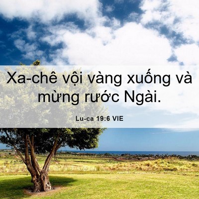 Picture 06 - Lu-ca 19:6 VIE - Xa-chê vội vàng xuống và mừng rước - Bible Verse Picture