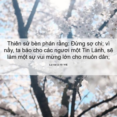 Picture 06 - Lu-ca 2:10 VIE - Thiên sứ bèn phán rằng: Đừng sợ chi; - Bible Verse Picture
