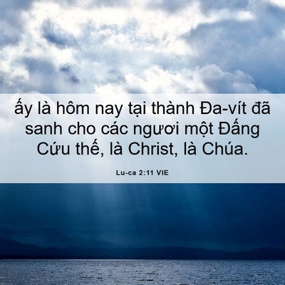 Picture 06 - Lu-ca 2:11 VIE - ấy là hôm nay tại thành Đa-vít đã sanh - Bible Verse Picture