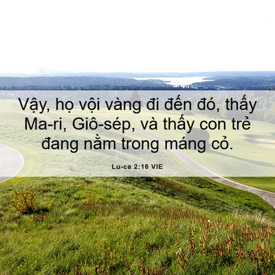 Picture 06 - Lu-ca 2:16 VIE - Vậy, họ vội vàng đi đến đó, thấy - Bible Verse Picture