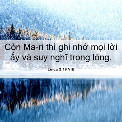 Picture 06 - Lu-ca 2:19 VIE - Còn Ma-ri thì ghi nhớ mọi lời ấy và - Bible Verse Picture