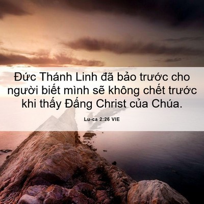Picture 06 - Lu-ca 2:26 VIE - Đức Thánh Linh đã bảo trước cho - Bible Verse Picture