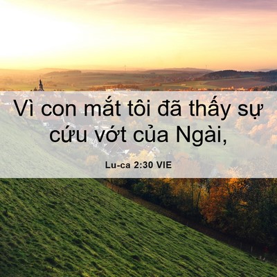 Picture 06 - Lu-ca 2:30 VIE - Vì con mắt tôi đã thấy sự cứu vớt - Bible Verse Picture