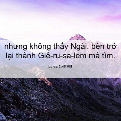 Picture 06 - Lu-ca 2:45 VIE - nhưng không thấy Ngài, bèn trở lại - Bible Verse Picture
