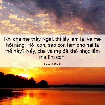 Picture 06 - Lu-ca 2:48 VIE - Khi cha mẹ thấy Ngài, thì lấy làm lạ, - Bible Verse Picture