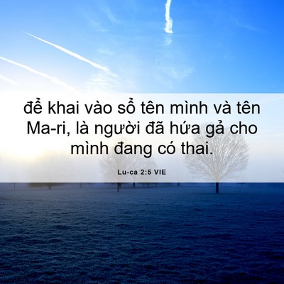 Picture 06 - Lu-ca 2:5 VIE - để khai vào sổ tên mình và tên Ma-ri, - Bible Verse Picture