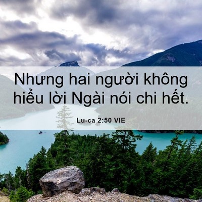 Picture 06 - Lu-ca 2:50 VIE - Nhưng hai người không hiểu lời Ngài - Bible Verse Picture