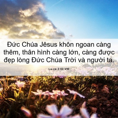 Picture 06 - Lu-ca 2:52 VIE - Đức Chúa Jêsus khôn ngoan càng thêm, - Bible Verse Picture