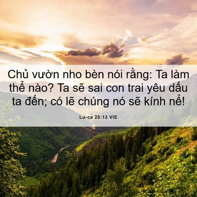 Picture 06 - Lu-ca 20:13 VIE - Chủ vườn nho bèn nói rằng: Ta làm thể - Bible Verse Picture