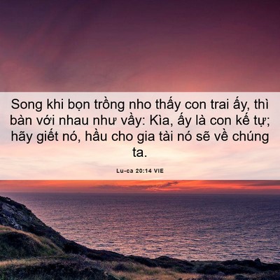 Picture 06 - Lu-ca 20:14 VIE - Song khi bọn trồng nho thấy con trai ấy, - Bible Verse Picture
