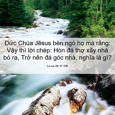 Picture 06 - Lu-ca 20:17 VIE - Đức Chúa Jêsus bèn ngó họ mà rằng: - Bible Verse Picture