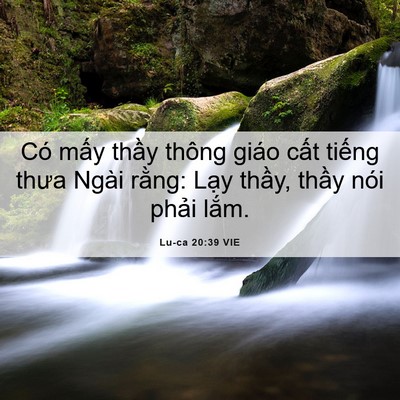 Picture 06 - Lu-ca 20:39 VIE - Có mấy thầy thông giáo cất tiếng thưa - Bible Verse Picture
