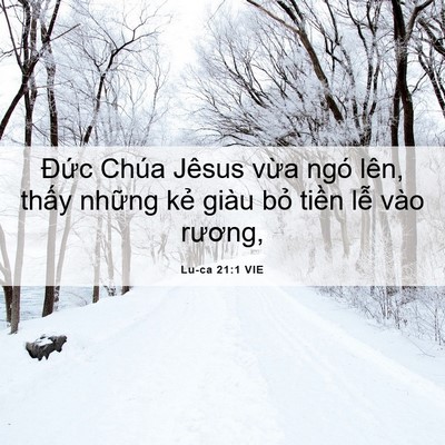 Picture 06 - Lu-ca 21:1 VIE - Đức Chúa Jêsus vừa ngó lên, thấy - Bible Verse Picture